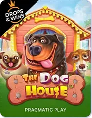 игра The Dog House